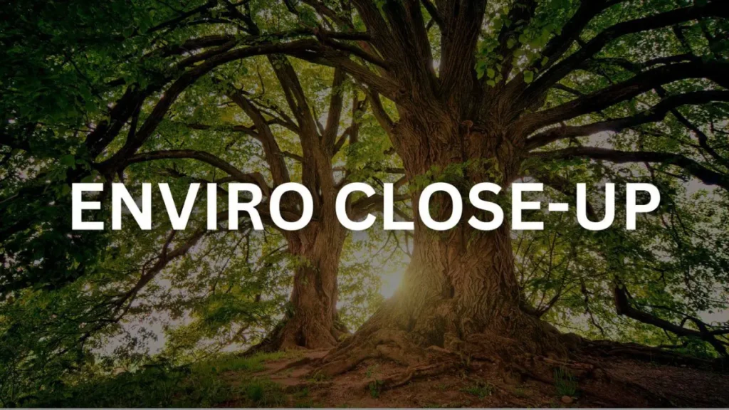 Enviro Close Up